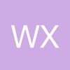 wang_xinyang